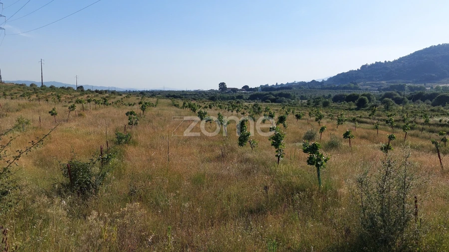 Terreno para Venda em Belmonte e Colmeal da Torre