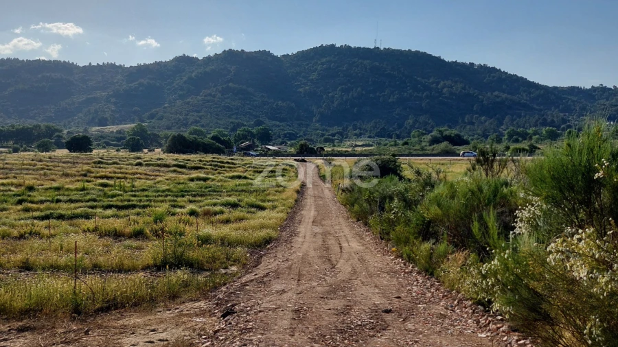 Terreno para Venda em Belmonte e Colmeal da Torre