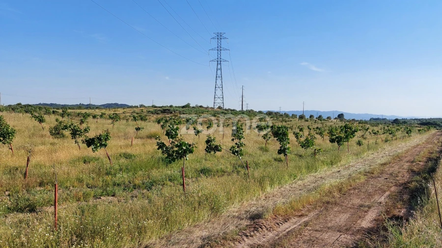 Terreno para Venda em Belmonte e Colmeal da Torre