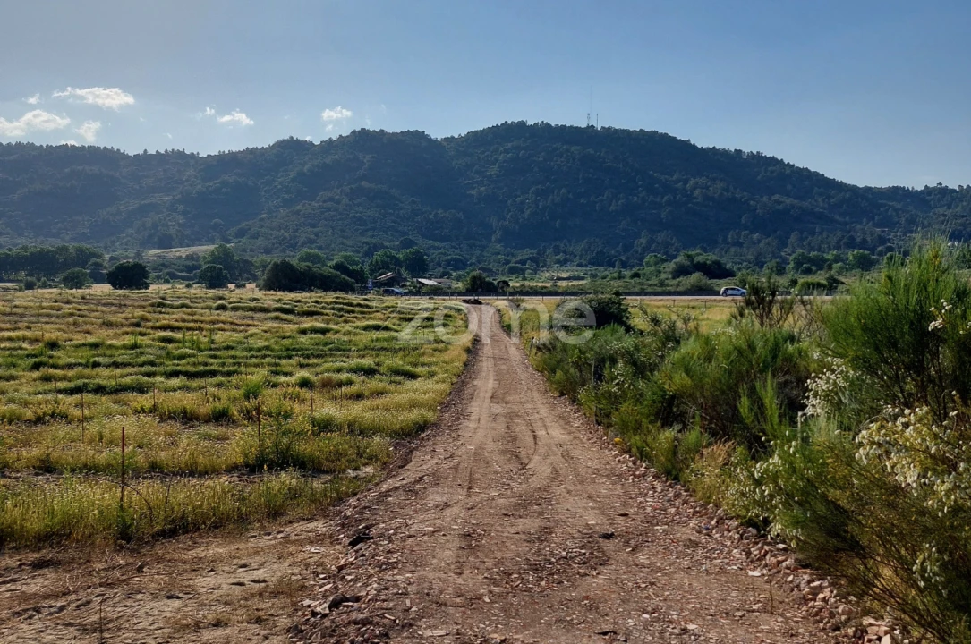 Terreno para Venda em Belmonte e Colmeal da Torre Foto 7