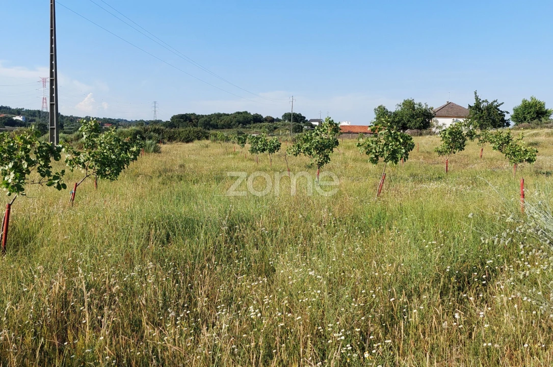 Terreno para Venda em Belmonte e Colmeal da Torre Foto 3