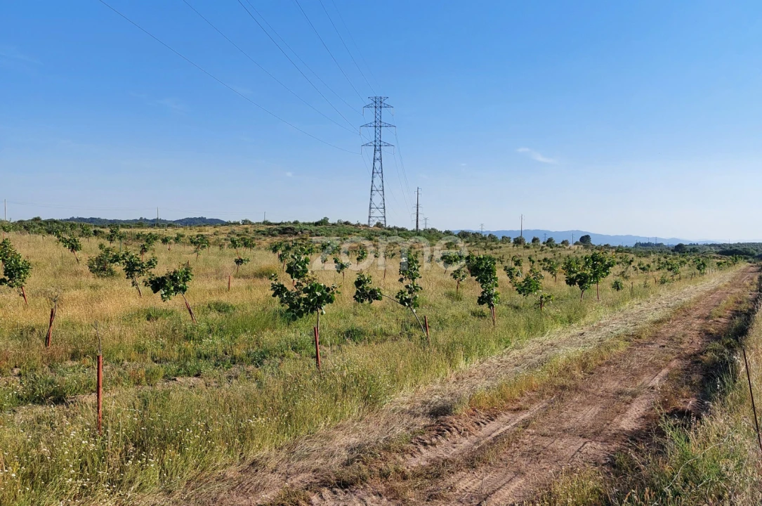 Terreno para Venda em Belmonte e Colmeal da Torre Foto 2