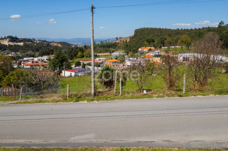 Terreno para Venda em Este (São Pedro e São Mamede) Foto 19