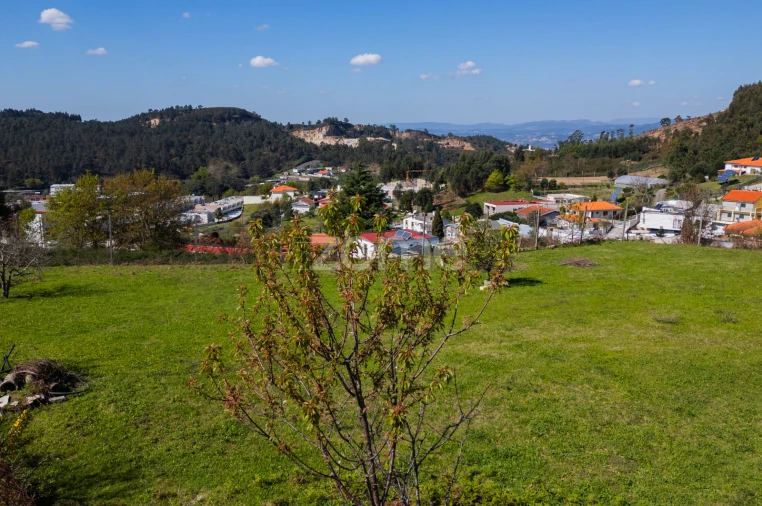 Terreno para Venda em Este (São Pedro e São Mamede) Foto 20