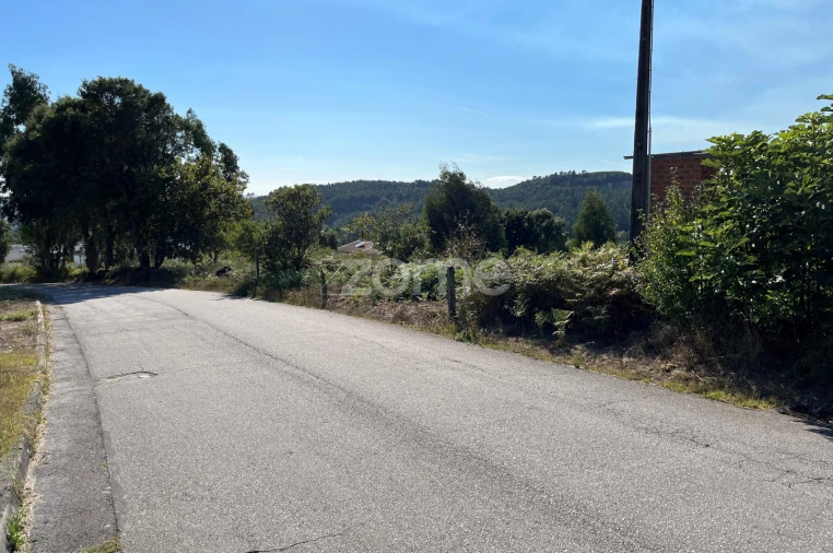 Terreno para Venda em Este (São Pedro e São Mamede) Foto 11