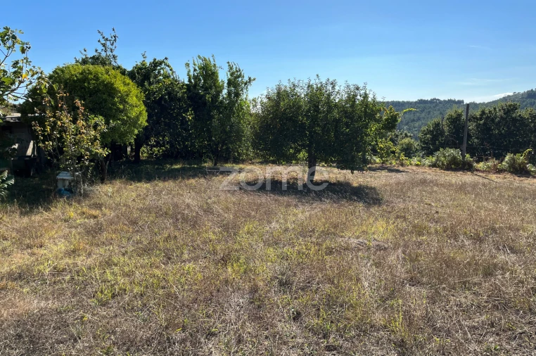 Terreno para Venda em Este (São Pedro e São Mamede) Foto 12