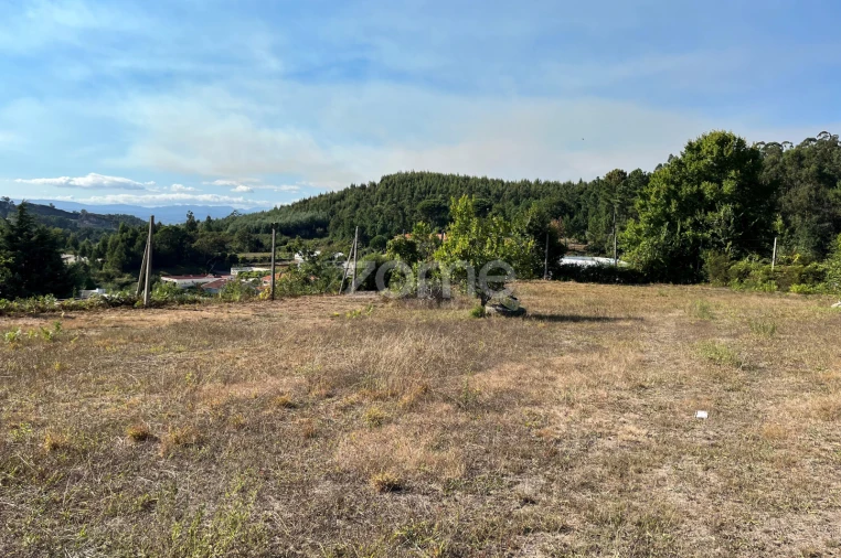 Terreno para Venda em Este (São Pedro e São Mamede) Foto 5
