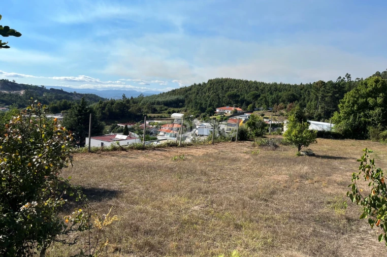 Terreno para Venda em Este (São Pedro e São Mamede) Foto 7