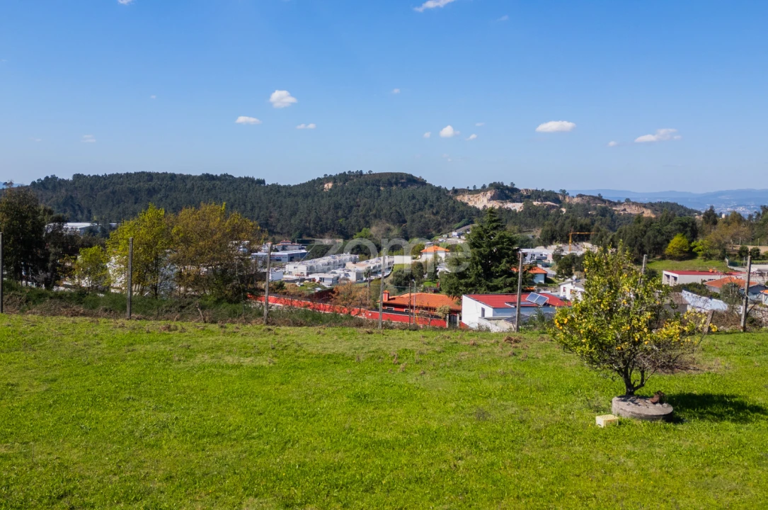 Terreno para Venda em Este (São Pedro e São Mamede) Foto 22
