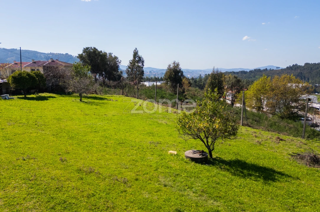 Terreno para Venda em Este (São Pedro e São Mamede) Foto 23