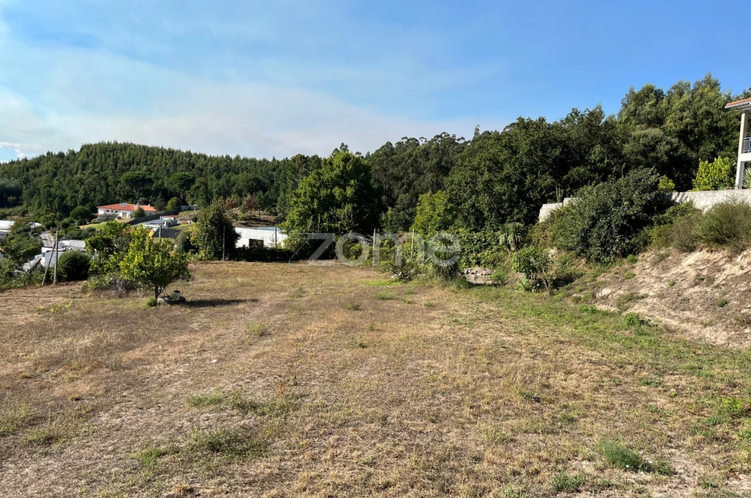 Terreno para Venda em Este (São Pedro e São Mamede) Foto 8