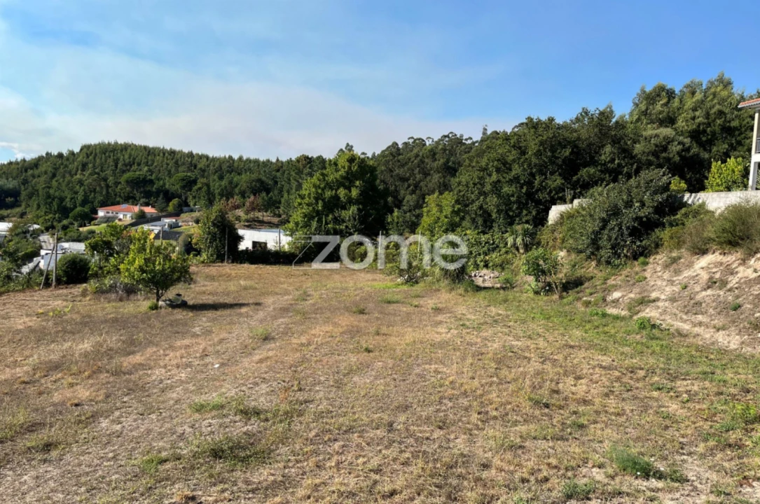 Terreno para Venda em Este (São Pedro e São Mamede) Foto 27