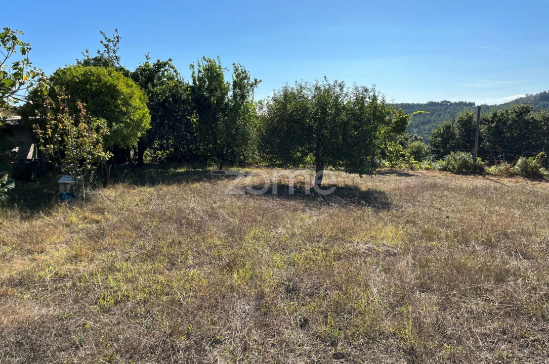 Terreno para Venda em Este (São Pedro e São Mamede) Foto 12