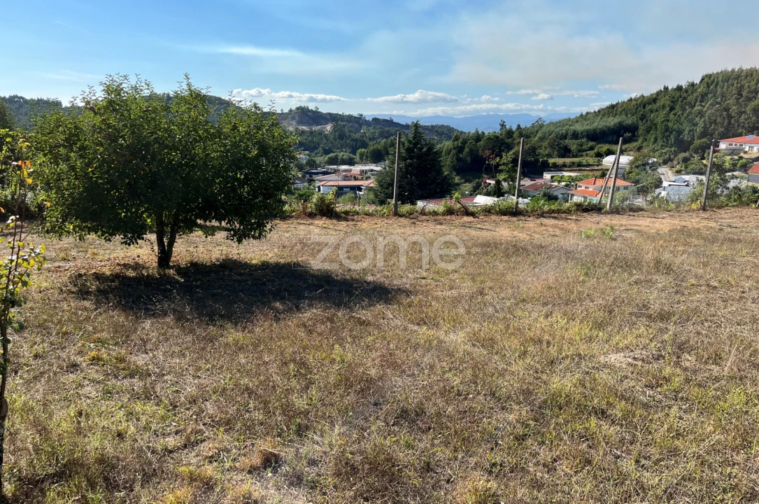 Terreno para Venda em Este (São Pedro e São Mamede) Foto 6