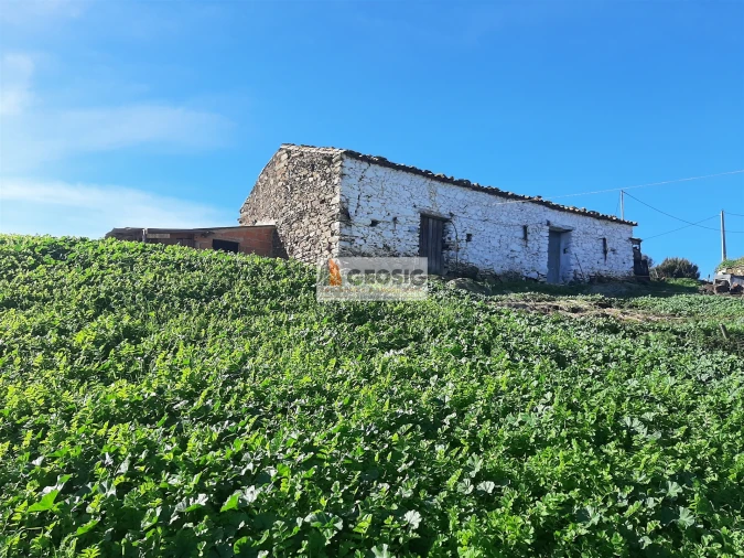 Quinta T6 para Venda em São Barnabe Foto 30