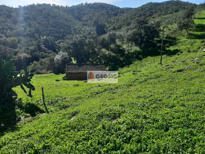 Quinta T6 para Venda em São Barnabe Foto 34