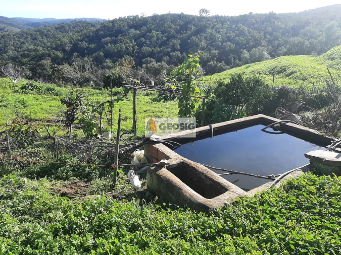 Quinta T6 para Venda em São Barnabe Foto 33