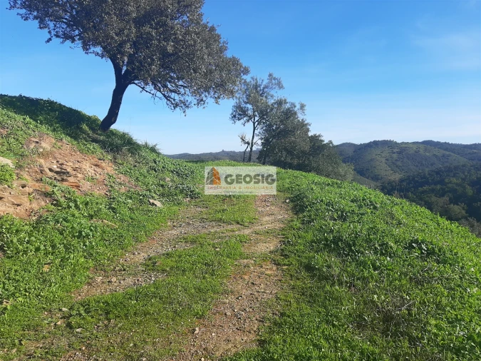 Quinta T6 para Venda em São Barnabe Foto 26