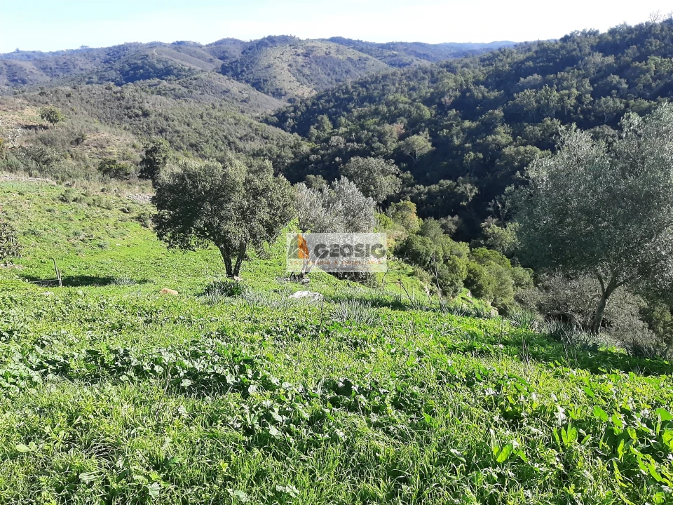 Quinta T6 para Venda em São Barnabe Foto 35