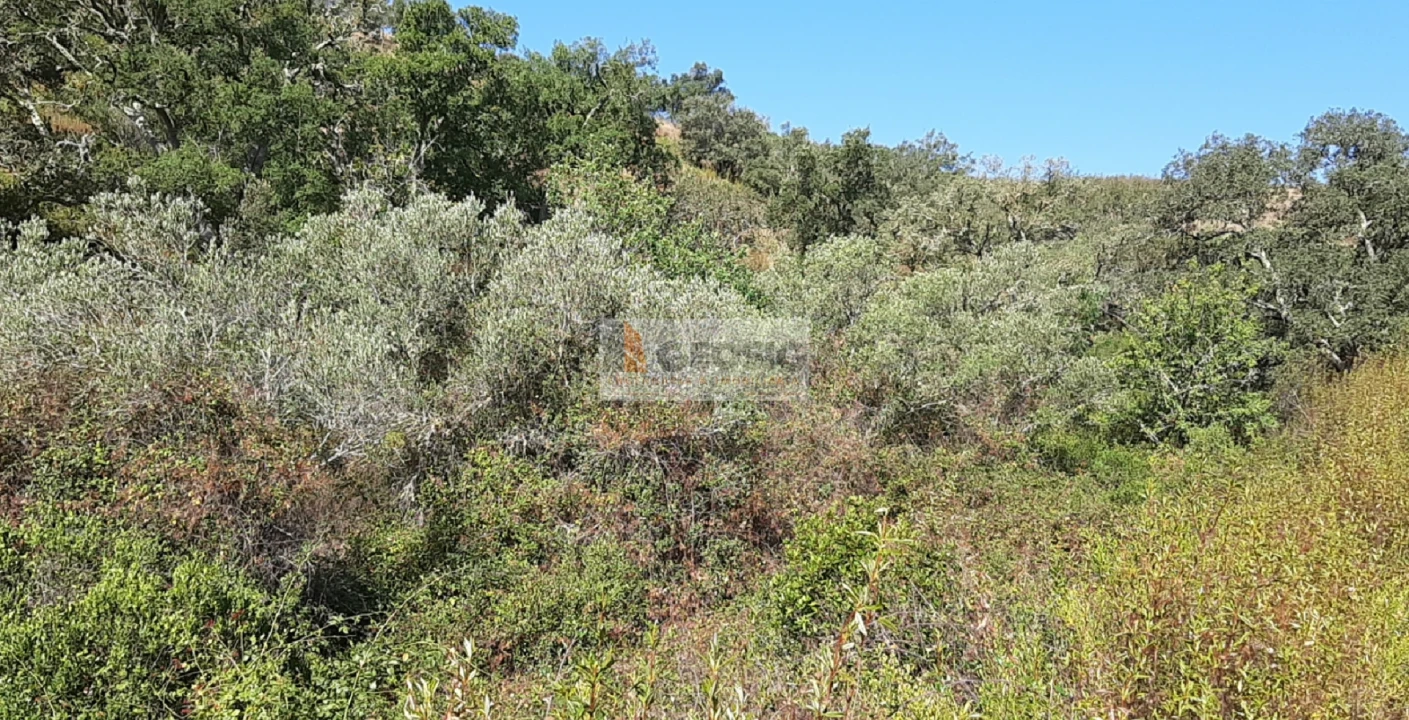 Quinta T1 para Venda em São Marcos da Serra Foto 17
