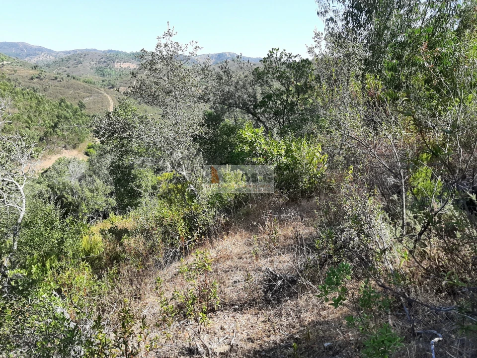 Quinta T1 para Venda em São Marcos da Serra Foto 6