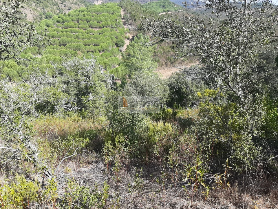 Quinta T1 para Venda em São Marcos da Serra Foto 8