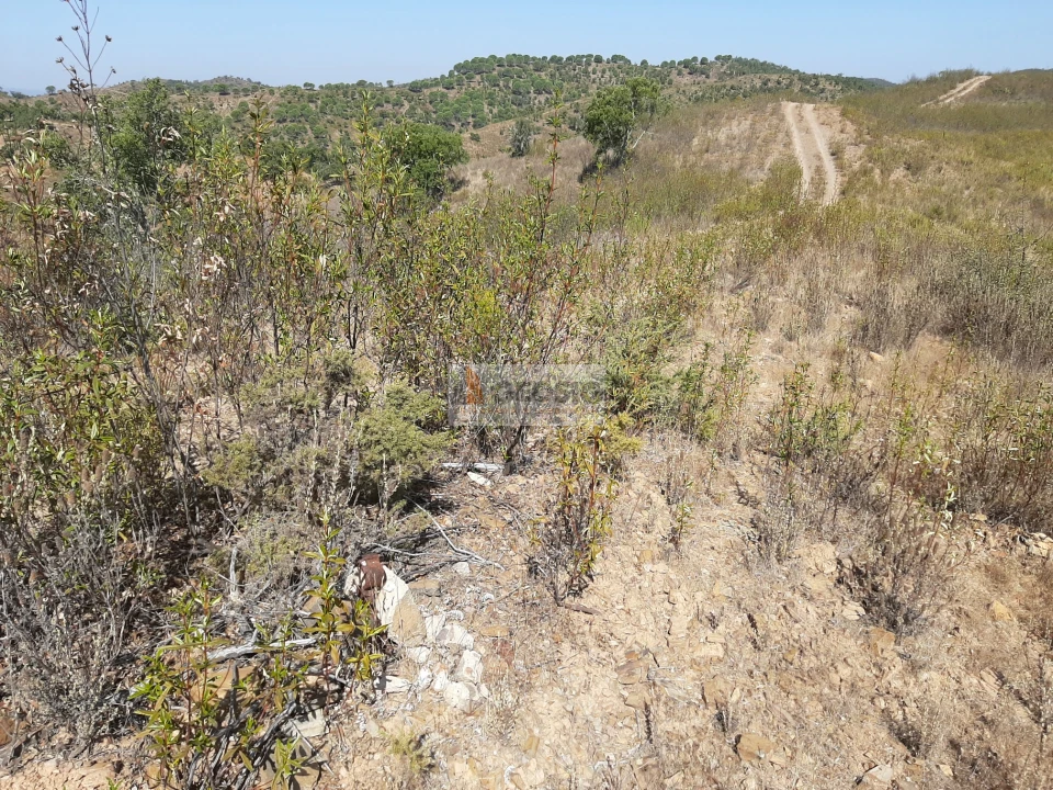 Quinta T1 para Venda em São Marcos da Serra Foto 14