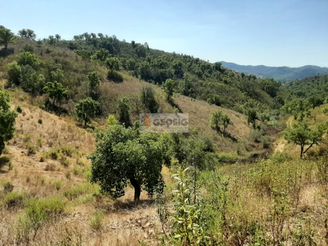 Quinta T1 para Venda em São Marcos da Serra Foto 13