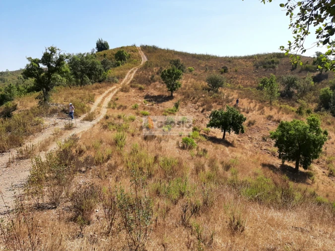 Quinta T1 para Venda em São Marcos da Serra Foto 12