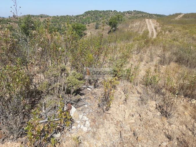 Quinta T1 para Venda em São Marcos da Serra Foto 14