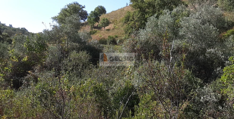 Quinta T1 para Venda em São Marcos da Serra Foto 15