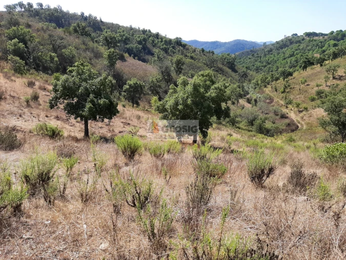 Quinta T1 para Venda em São Marcos da Serra Foto 10