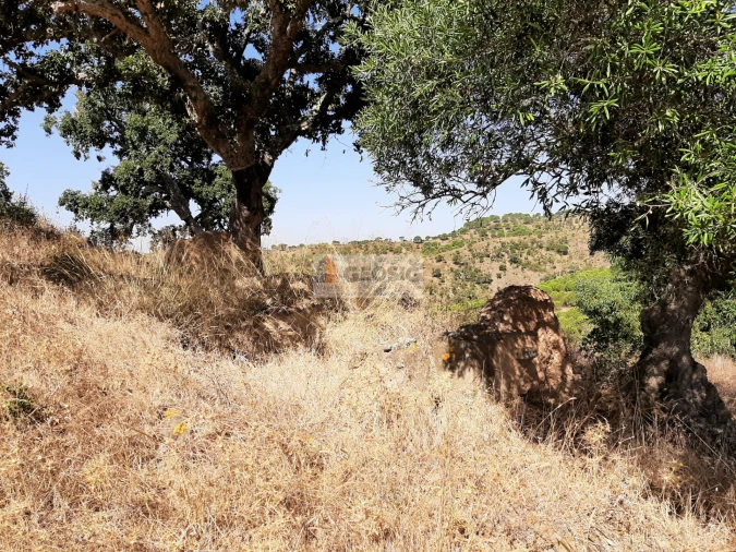 Quinta T1 para Venda em São Marcos da Serra Foto 5