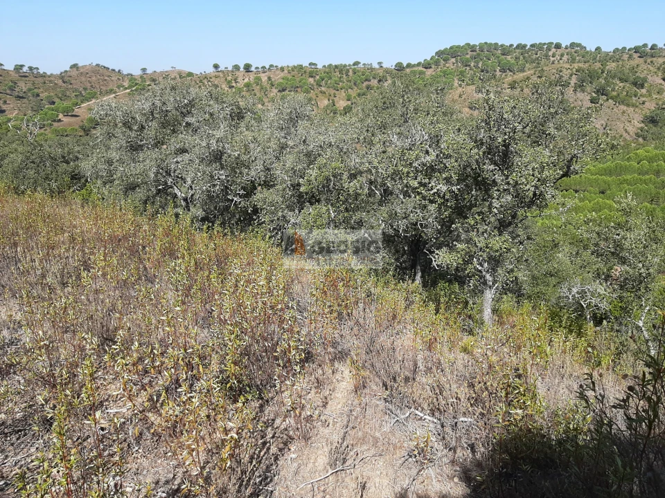 Quinta T1 para Venda em São Marcos da Serra Foto 9