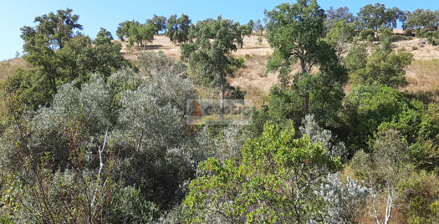 Quinta T1 para Venda em São Marcos da Serra Foto 16