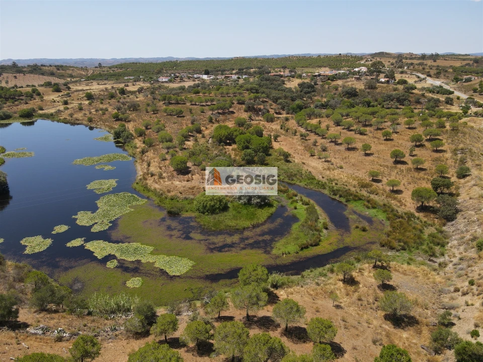 Terreno Agricola ou Rústico para Venda em Vaqueiros Foto 6