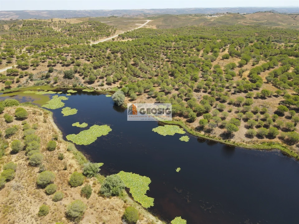 Terreno Agricola ou Rústico para Venda em Vaqueiros Foto 11