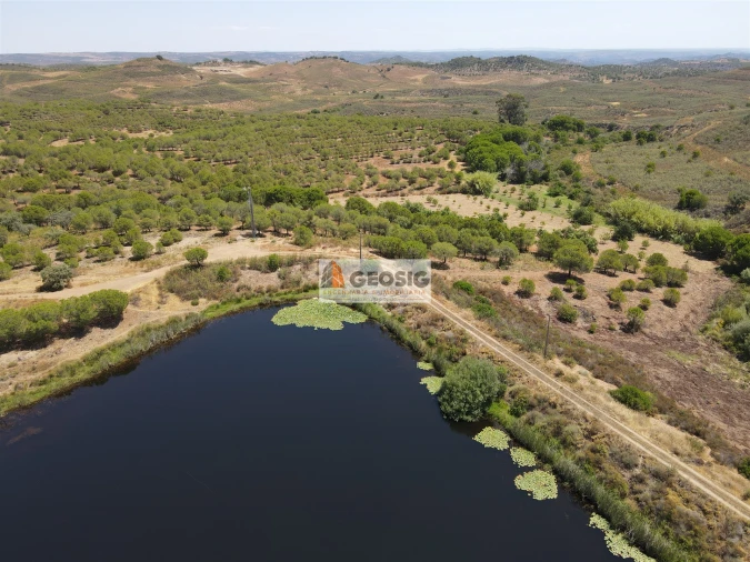 Terreno Agricola ou Rústico para Venda em Vaqueiros Foto 2