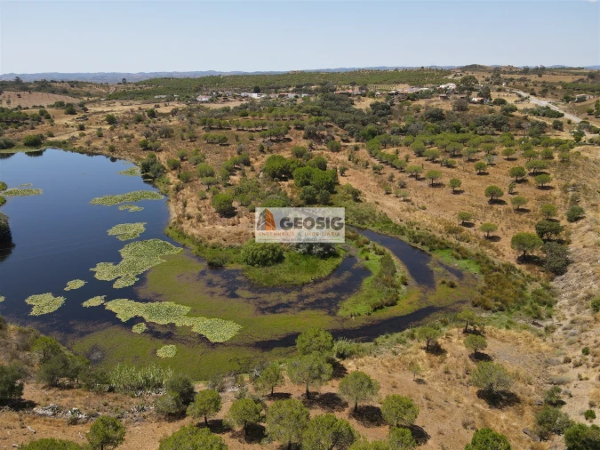 Terreno Agricola ou Rústico para Venda em Vaqueiros Foto 6