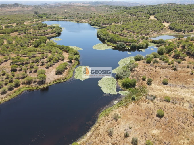 Terreno Agricola ou Rústico para Venda em Vaqueiros Foto 10