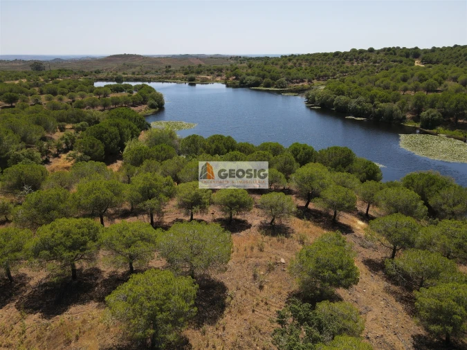 Terreno Agricola ou Rústico para Venda em Vaqueiros Foto 1