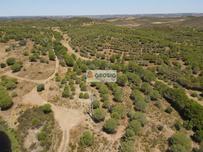 Terreno Agricola ou Rústico para Venda em Vaqueiros Foto 3