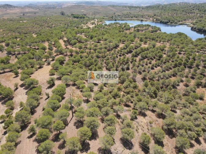 Terreno Agricola ou Rústico para Venda em Vaqueiros Foto 9