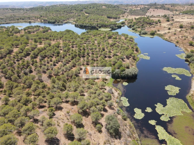 Terreno Agricola ou Rústico para Venda em Vaqueiros Foto 8
