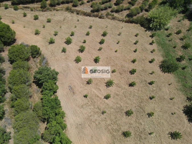 Terreno Agricola ou Rústico para Venda em Vaqueiros Foto 7