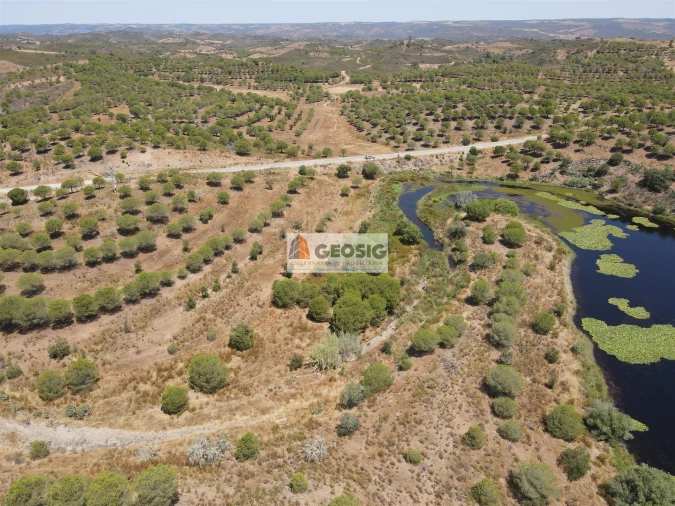Terreno Agricola ou Rústico para Venda em Vaqueiros Foto 12