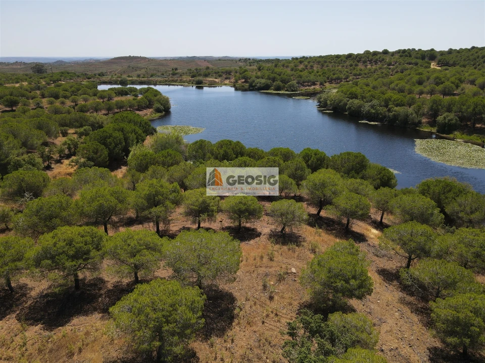 Terreno Agricola ou Rústico para Venda em Vaqueiros Foto 1