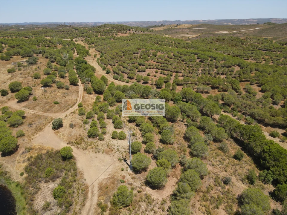 Terreno Agricola ou Rústico para Venda em Vaqueiros Foto 3