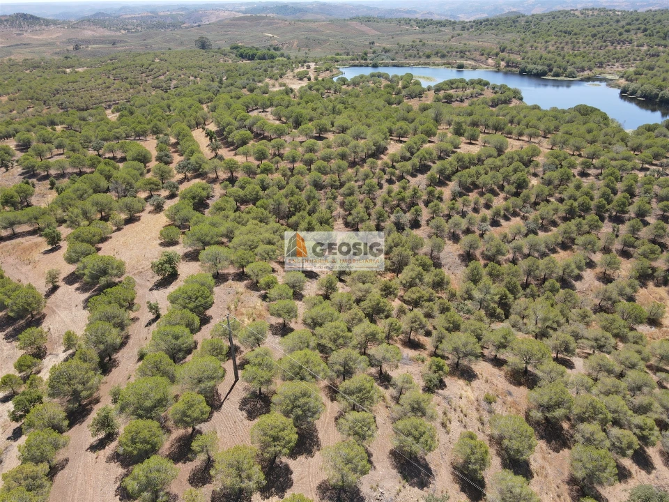 Terreno Agricola ou Rústico para Venda em Vaqueiros Foto 9