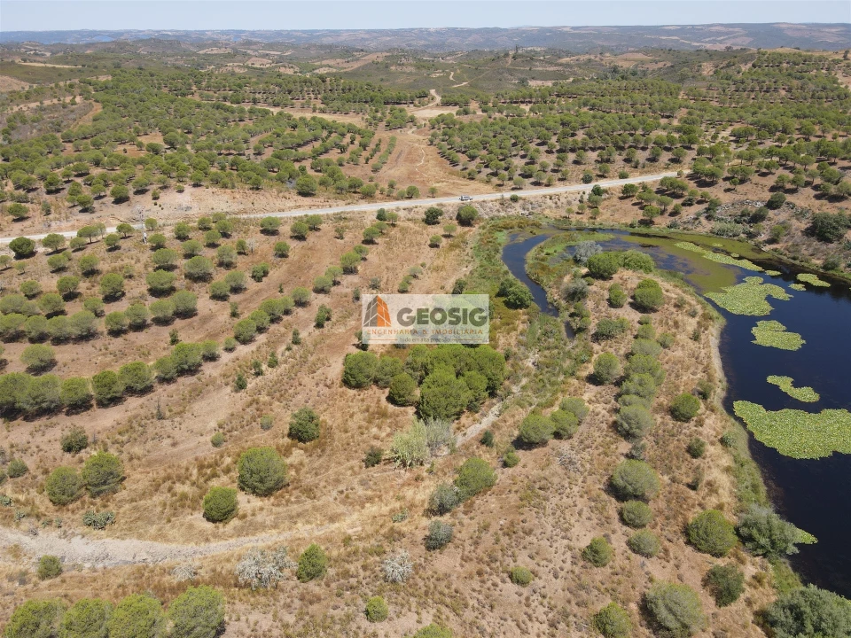 Terreno Agricola ou Rústico para Venda em Vaqueiros Foto 12